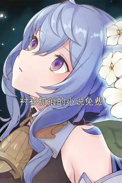 衬衫抓痕的小说免费