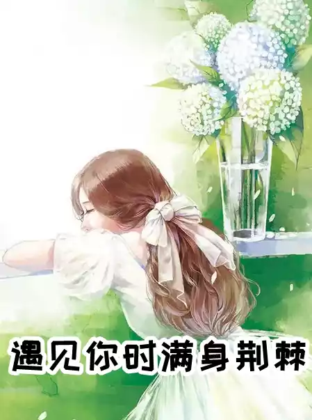 遇见你时满身荆棘小说