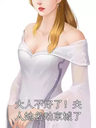 大人不好了！夫人她名动京城了小说
