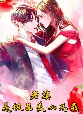 老婆是极品美女总裁小说