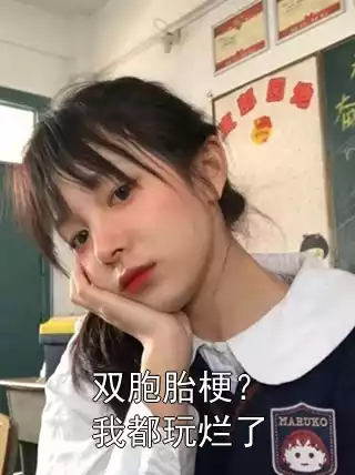 双胞胎梗？我都玩烂了小说