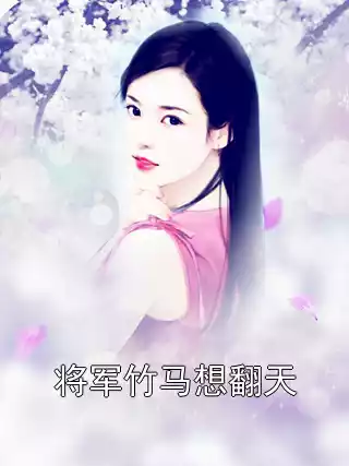将军竹马想翻天小说