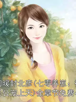 宋初暖封北彦(七零养崽：被军婚老公宠上天)全章节免费小说