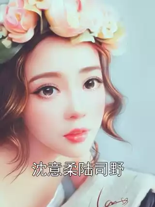 沈意柔陆司野小说
