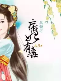 凤倾之痞妃有毒小说