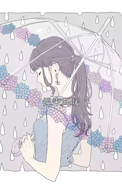 迟来向暖小说