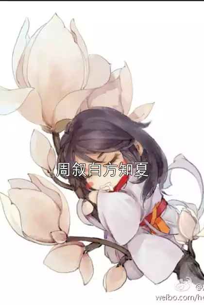 周叙白方知夏小说