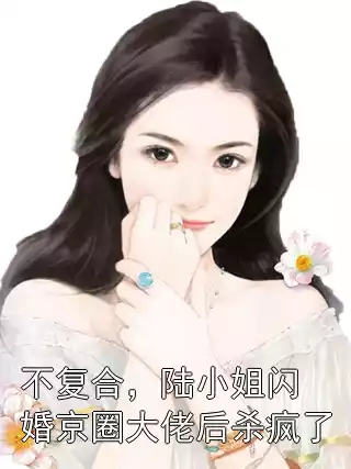 不复合，陆小姐闪婚京圈大佬后杀疯了小说