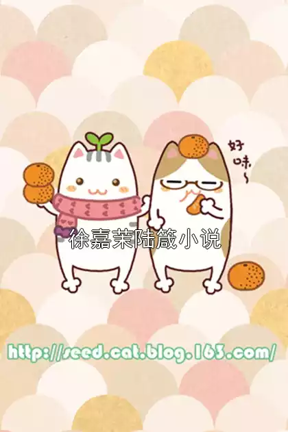 徐嘉茉陆箴小说小说