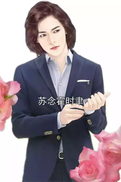 苏念霍时聿