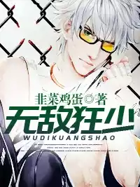 无敌狂少小说