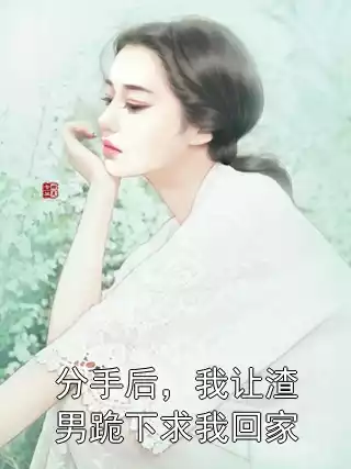 分手后，我让渣男跪下求我回家小说