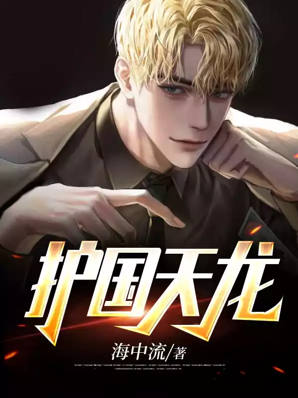 护国天龙杨坚小说