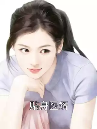 贴身医婿小说