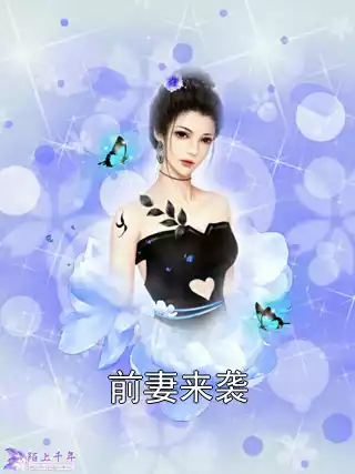 前妻来袭小说