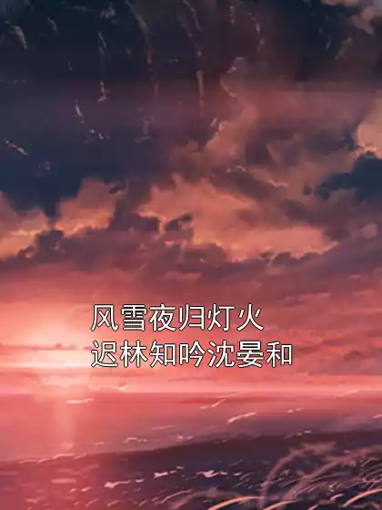 风雪夜归灯火迟林知吟沈晏和