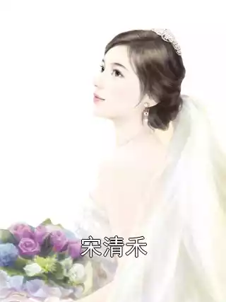 宋清禾小说