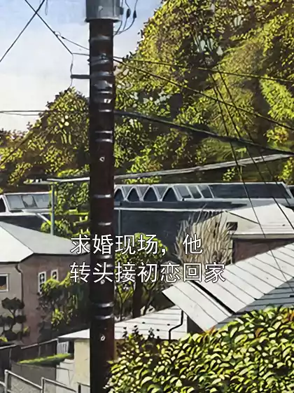 求婚现场，他转头接初恋回家小说