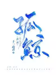孤鲸小说