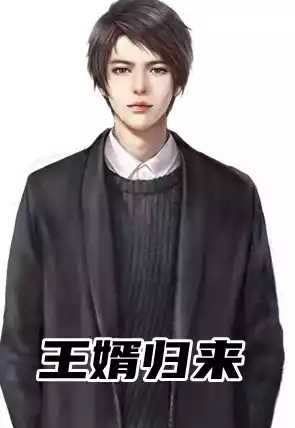 王婿归来小说