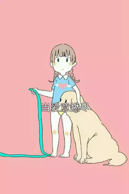 当爱意燃尽小说