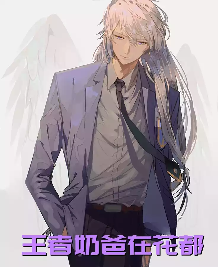 王者奶爸在花都小说