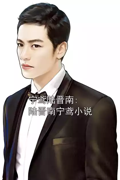 宁鸢陆晋南:陆晋南宁鸢小说小说