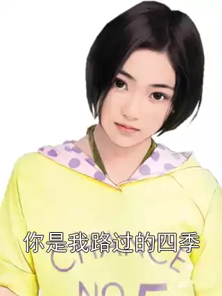 你是我路过的四季