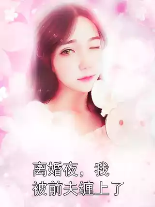 离婚夜，我被前夫缠上了小说