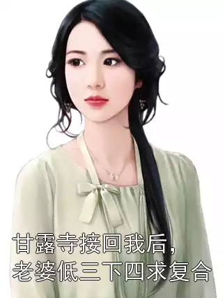 甘露寺接回我后，老婆低三下四求复合小说