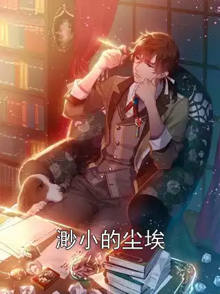 渺小的尘埃小说