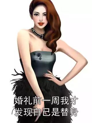 婚礼前一周我才发现自己是替身小说
