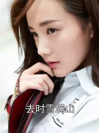 去时雪满山小说
