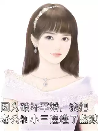 因为破坏军婚，我把老公和小三送进了监狱小说