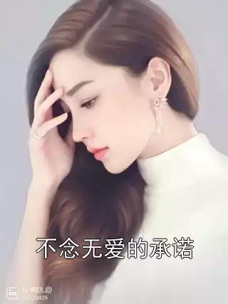 不念无爱的承诺小说