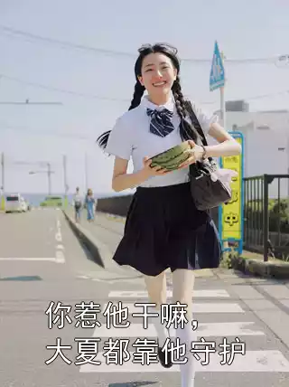 你惹他干嘛，大夏都靠他守护小说