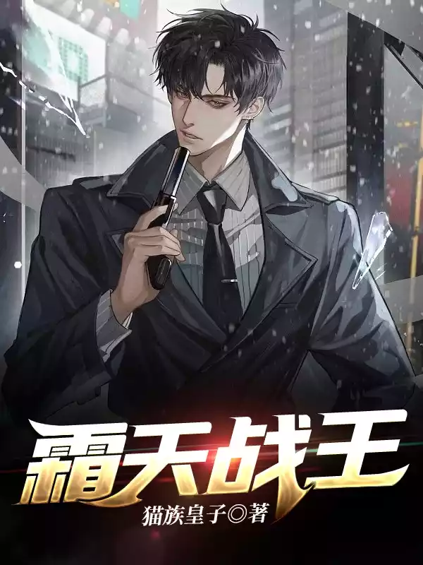 霜天战王小说