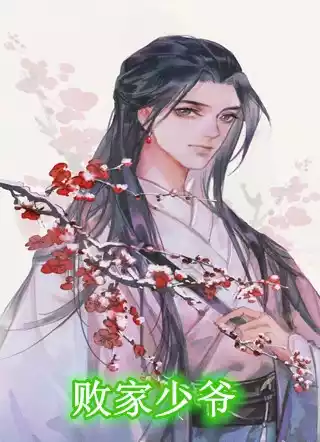 败家少爷小说