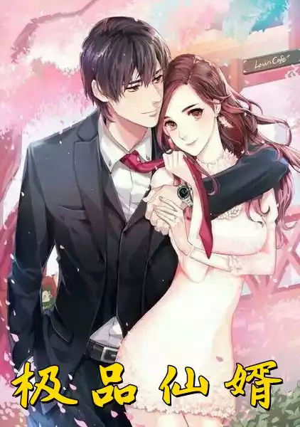 极品仙婿小说