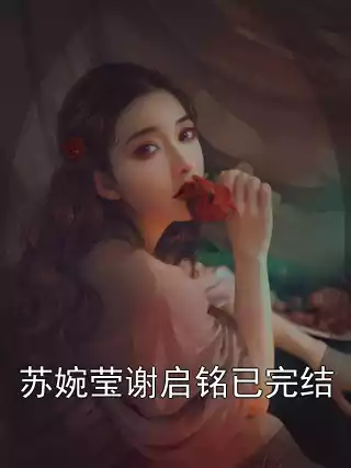 苏婉莹谢启铭已完结小说