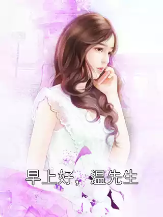早上好，温先生小说
