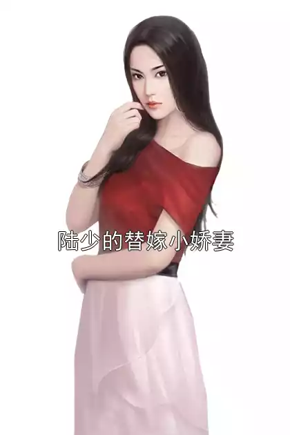 陆少的替嫁小娇妻小说
