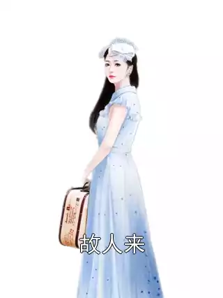 故人来小说