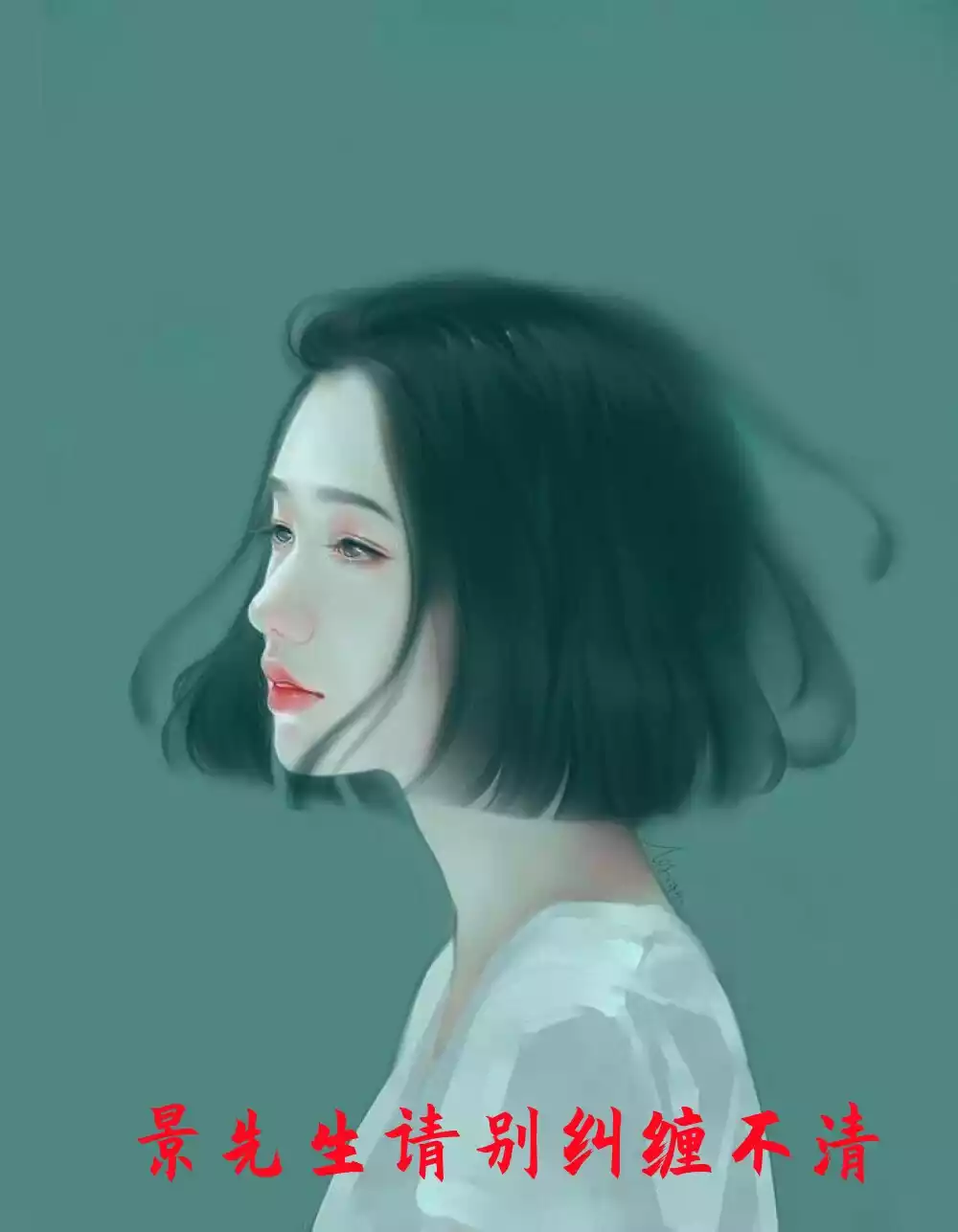 景先生请别纠缠不清小说