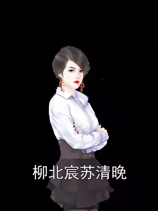 柳北宸苏清晚