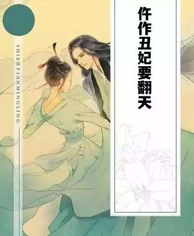 仵作丑妃要翻天小说
