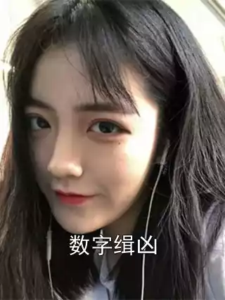 数字缉凶