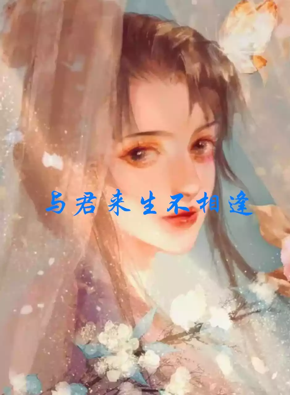 与君来生不相逢