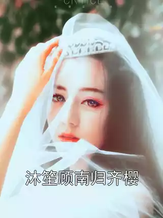 沐笙顾南归齐樱小说