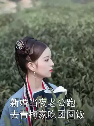 新婚当夜老公跑去青梅家吃团圆饭小说